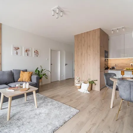 Kameralis Old Town - Klimatyzacja - Balkon - Winda Elblag