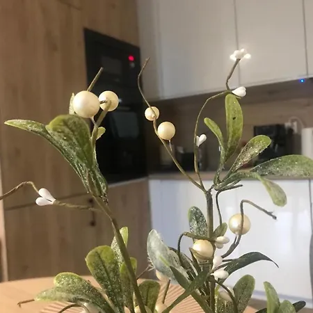 Appartement Kameralis Old Town - Klimatyzacja - Balkon - Winda