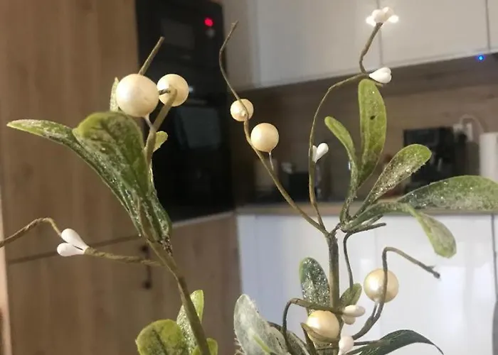 Апартаменты Kameralis Old Town - Klimatyzacja - Balkon - Winda